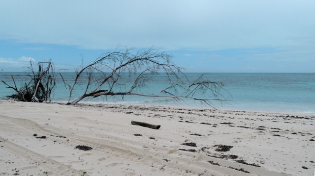 Zdj cia: Denis Private Island, Inner Islands, nie zawsze świeci słońce..., SESZELE Zdj cia: Denis Private Island, Inner Islands, nie zawsze świeci słońce..., SESZELE