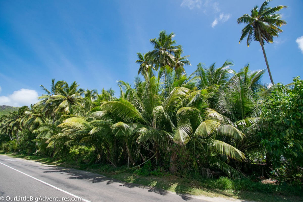 Zdjęcia: Anse Royale, Mahe, summer time, SESZELE Zdjęcia: Anse Royale, Mahe, summer time, SESZELE
