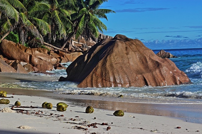 Zdjęcia: Anse Patates, La Digue, Anse Patates, SESZELE Zdjęcia: Anse Patates, La Digue, Anse Patates, SESZELE