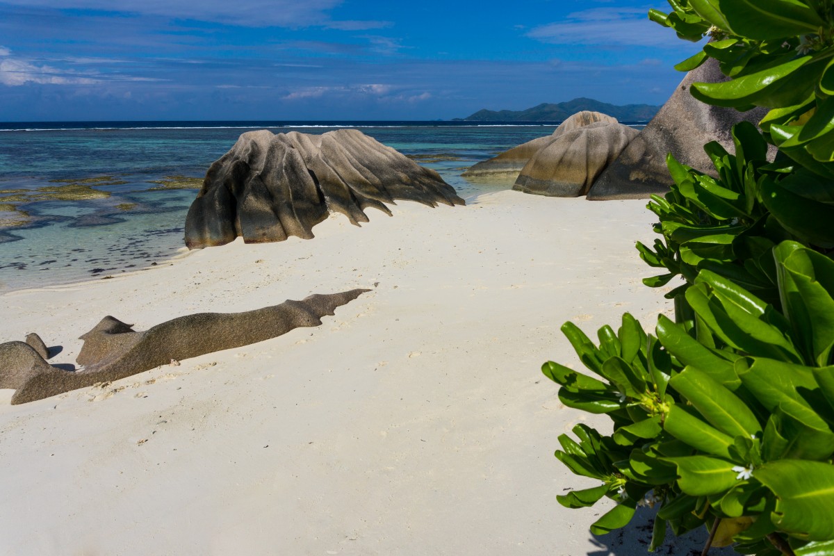 Zdjęcia: La Digue, La Digue, Anse Source D'Argent, SESZELE Zdjęcia: La Digue, La Digue, Anse Source D'Argent, SESZELE