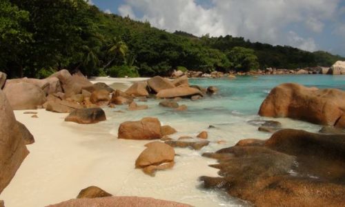 Zdjecie SESZELE / Praslin / Praslin / plaza...