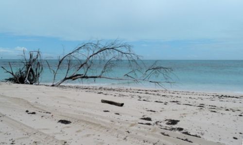 Zdjcie SESZELE / Inner Islands / Denis Private Island / nie zawsze wieci soce...