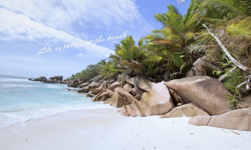 Zdjecie SESZELE / La Digue / Anse Coco / Coco Beach