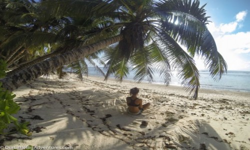 Zdjęcie SESZELE / Mahe / dzika plaża / Tropical Vibes