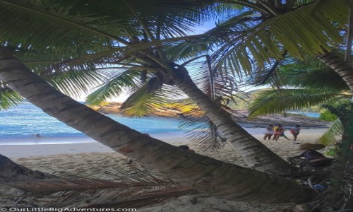 Zdjecie SESZELE / Mahe / Anse Forbans / anse fobans
