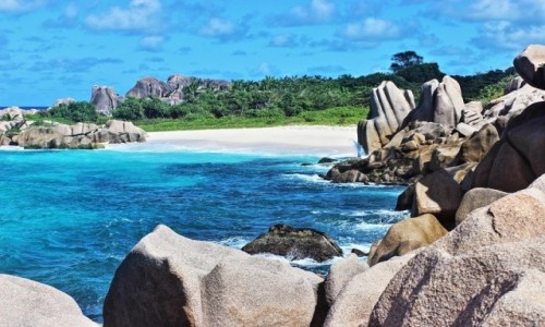Zdjecie SESZELE / La Digue / La Digue / Droga na Anse Marron
