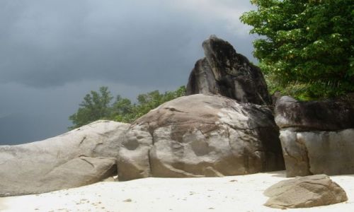 Zdjęcie SESZELE / Coco Island / wyspa / Jeszcze Seszele