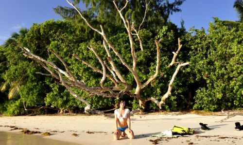 Zdjcie SESZELE / Praslin / Anse Takamaka / Prawie martwa natura :-)