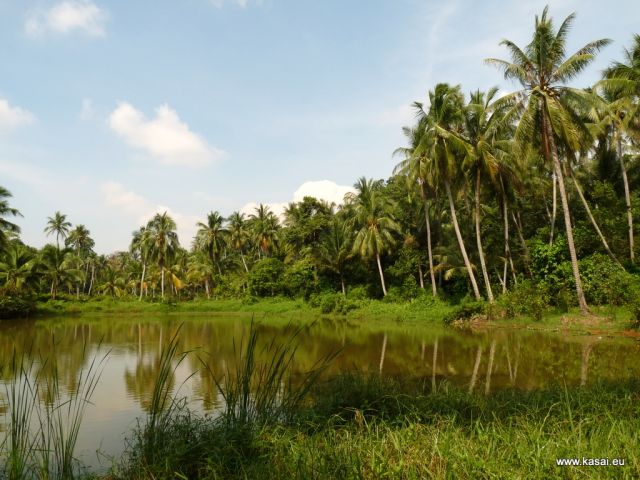 Zdjęcia: Wyspa Ubin, Wyspa Ubin 3, SINGAPUR Zdjęcia: Wyspa Ubin, Wyspa Ubin 3, SINGAPUR