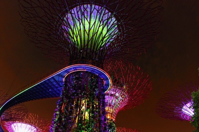 Zdj cia: Gardens By The Bay, Singapur, Gardens By The Bay, SINGAPUR
