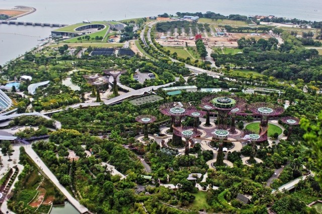 Zdj cia: Gardens By The Bay, Singapur, Gardens By The Bay, SINGAPUR