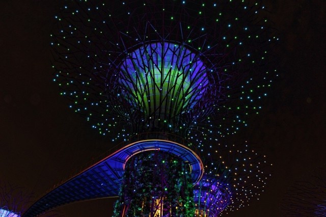 Zdj cia: Gardens By The Bay, Singapur, Gardens By The Bay, SINGAPUR