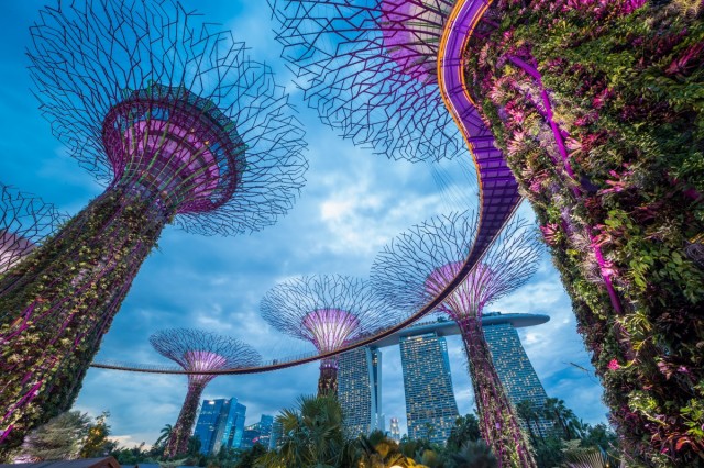 Zdj cia: ---, ---, Singapur, SINGAPUR