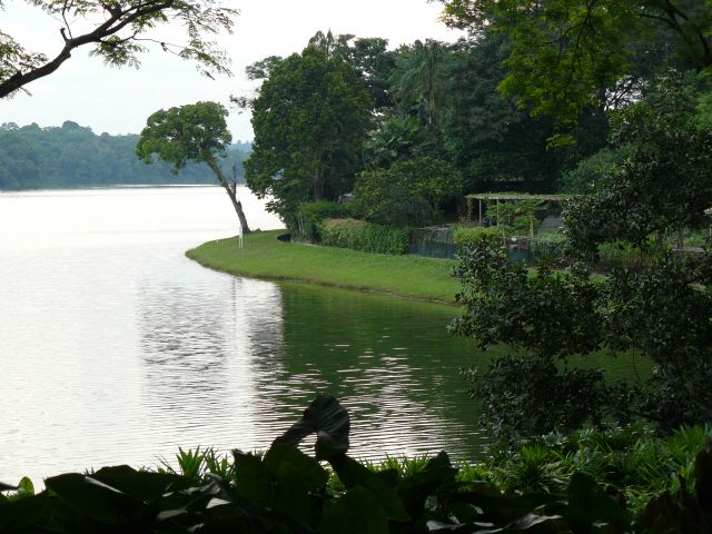 Zdjęcia: piekny singapur, SINGAPUR Zdjęcia: piekny singapur, SINGAPUR
