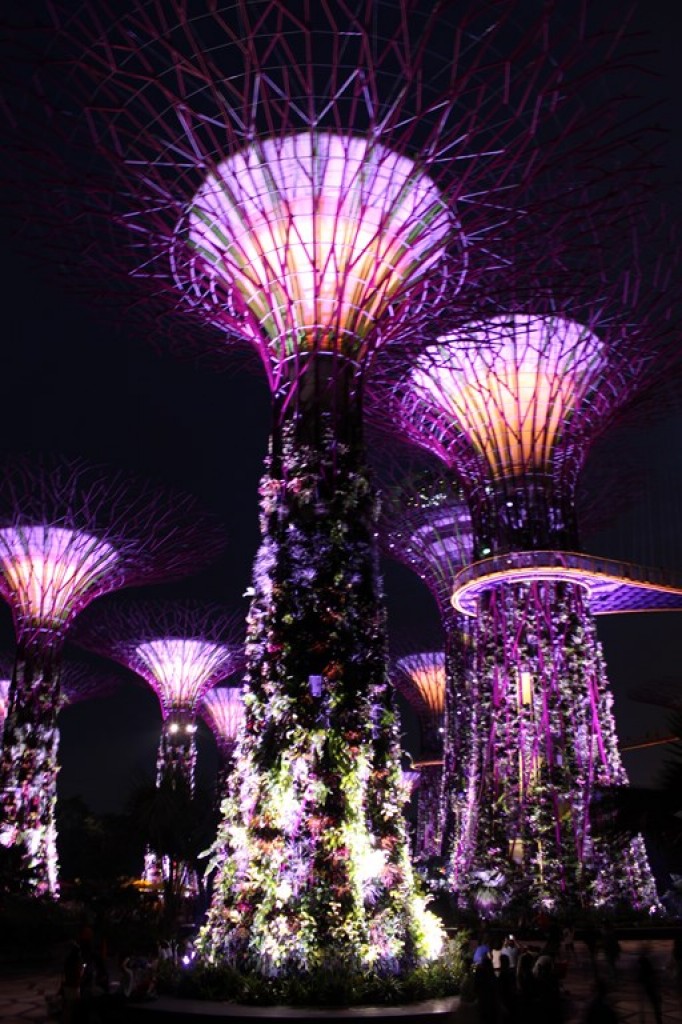 Zdjęcia: Singapur, Singapur, Gardens By The Bay, SINGAPUR Zdjęcia: Singapur, Singapur, Gardens By The Bay, SINGAPUR