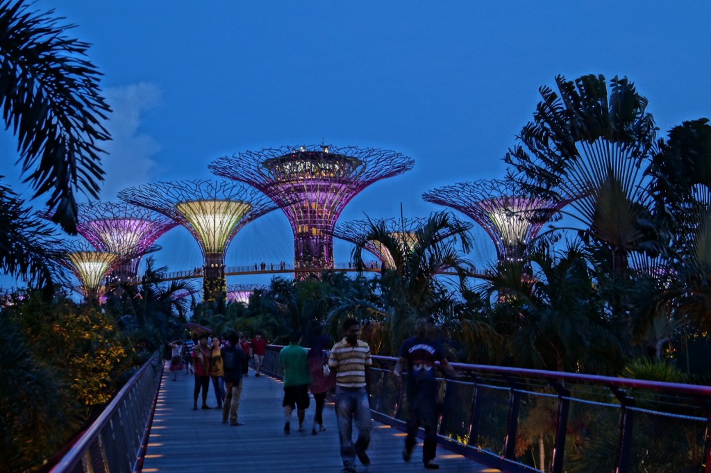 Zdjęcia: ogród botaniczny, Singapur, konkurs, SINGAPUR Zdjęcia: ogród botaniczny, Singapur, konkurs, SINGAPUR