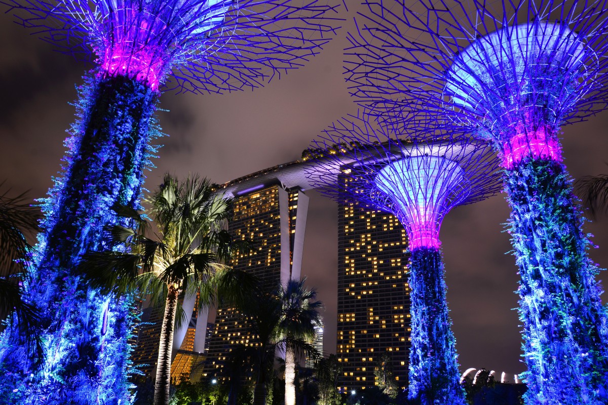 Zdjęcia: Gardens by the Bay, -Marina Sands, Singapur nocą, SINGAPUR Zdjęcia: Gardens by the Bay, -Marina Sands, Singapur nocą, SINGAPUR