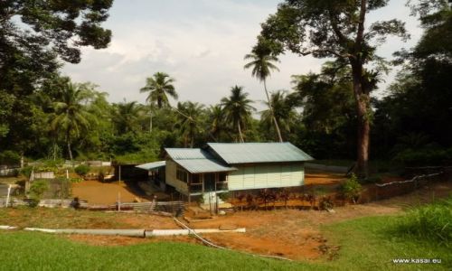 SINGAPUR / - / Wyspa Ubin / Wyspa Ubin 6