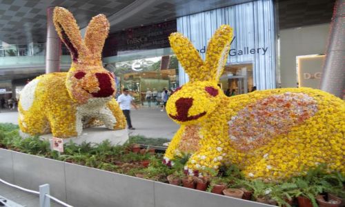 Zdjecie SINGAPUR / - / Singapyr / Singapur   KONKURS