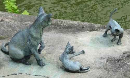 Zdjcie SINGAPUR / Singapur / u / zabawy kotw w patynie