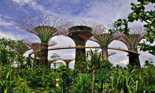 Zdjecie SINGAPUR / - / Singapur / Gardens By The Bay