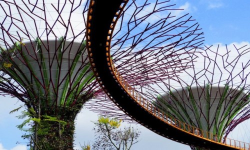 Zdjcie SINGAPUR / pd -wsch Azja / Gardens by the bay / Sky Bridge