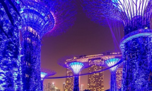 Zdjcie SINGAPUR / - / Marina Bay / Gardens by the Bay