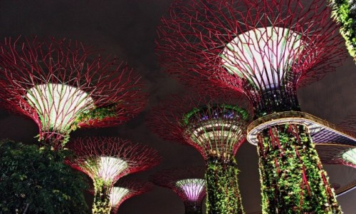 SINGAPUR / Singapur / Gardens By The Bay / Gardens By The Bay