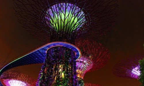 SINGAPUR / Singapur / Gardens By The Bay / Gardens By The Bay
