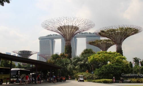 Zdjecie SINGAPUR / Centrum / Azja / Gardens by the bay