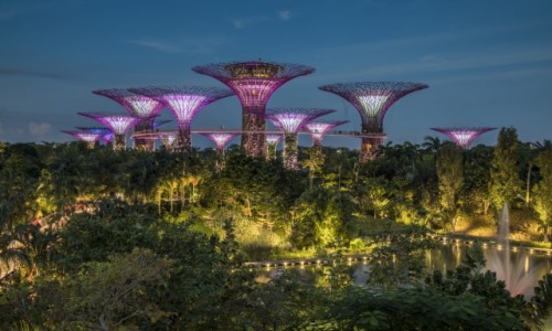 Zdjecie SINGAPUR / Singapur / Singapur / Gardens by the Bay