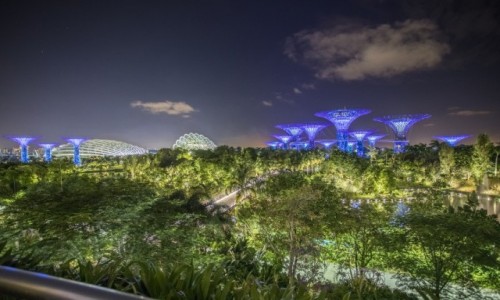 Zdjcie SINGAPUR / Singapur / Singapur / Gardens by the Bay