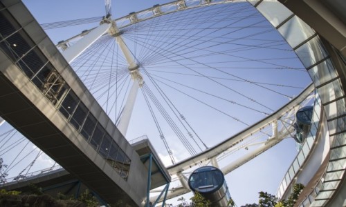Zdjcie SINGAPUR / Singapur / Singapur / Singapore Flyer