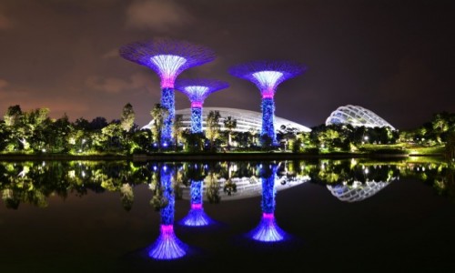 Zdjcie SINGAPUR / -Marina Sands / Gardens by the Bay / Singapur noc