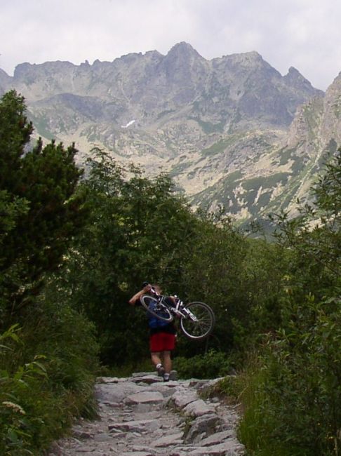 Zdjęcia: Dol. Mieguszewicka, -Tatry Wysokie, Rowerzesta na szlaku, SłOWACJA Zdjęcia: Dol. Mieguszewicka, -Tatry Wysokie, Rowerzesta na szlaku, SłOWACJA