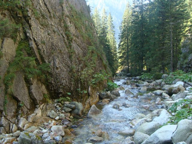 Zdjęcia: Dolina Jaworowa, Tatry, Potok, SłOWACJA Zdjęcia: Dolina Jaworowa, Tatry, Potok, SłOWACJA
