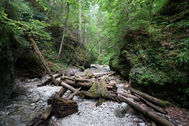 Zdj cia: Słowacki Raj - Sucha Bela, Spisz, Na zielonym szlaku, SłOWACJA Zdj cia: Słowacki Raj - Sucha Bela, Spisz, Na zielonym szlaku, SłOWACJA