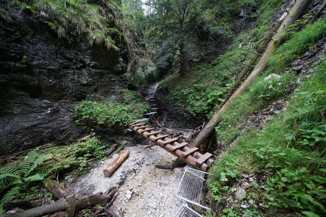 Zdj cia: Słowacki Raj - zielony szlak Sucha Bela, Spisz, Urozmaicenie, SłOWACJA Zdj cia: Słowacki Raj - zielony szlak Sucha Bela, Spisz, Urozmaicenie, SłOWACJA