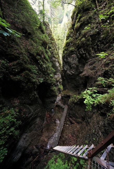 Zdj cia: Słowacki Raj - zielony szlak Sucha Bela, Spisz, Natura i architektura, SłOWACJA Zdj cia: Słowacki Raj - zielony szlak Sucha Bela, Spisz, Natura i architektura, SłOWACJA