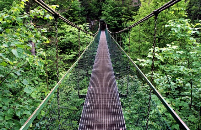 Zdj cia: Słowacki Raj - Przełom Hornadu, Spisz, Wiszący mostek, SłOWACJA Zdj cia: Słowacki Raj - Przełom Hornadu, Spisz, Wiszący mostek, SłOWACJA