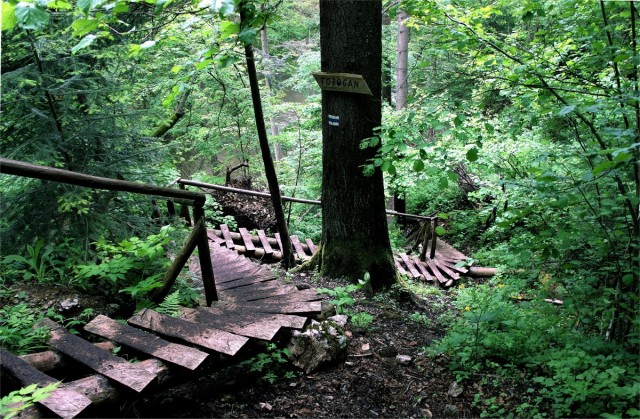 Zdj cia: Słowacki Raj - Przełom Hornadu, Spisz, Tobogan, SłOWACJA Zdj cia: Słowacki Raj - Przełom Hornadu, Spisz, Tobogan, SłOWACJA