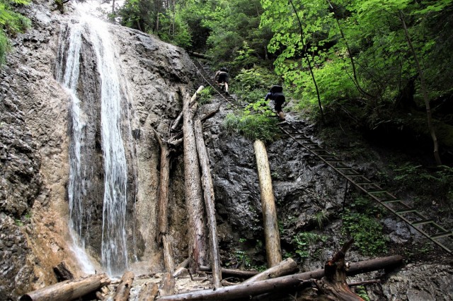 Zdj cia: Słowacki Raj - Dolina Klasztorisko, Spisz, Obok wodospadu, SłOWACJA Zdj cia: Słowacki Raj - Dolina Klasztorisko, Spisz, Obok wodospadu, SłOWACJA