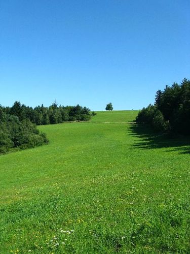 Zdjęcia: Lubovnianska Vrchovina, pagórkowaty :), Przekraczając "zieloną granicę", SłOWACJA Zdjęcia: Lubovnianska Vrchovina, pagórkowaty :), Przekraczając "zieloną granicę", SłOWACJA