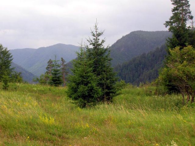 Zdjęcia: Słowacki Raj, Widok spod Klastoriska na południowy Słowacki Raj, SłOWACJA Zdjęcia: Słowacki Raj, Widok spod Klastoriska na południowy Słowacki Raj, SłOWACJA