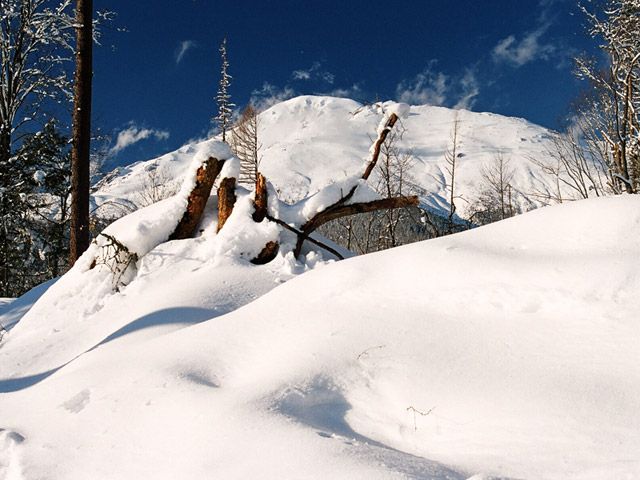 Zdjęcia: Stary Smokowiec - Tatrzanska Polanka, Tatry Słowackie, ... Slavkowski I, SłOWACJA Zdjęcia: Stary Smokowiec - Tatrzanska Polanka, Tatry Słowackie, ... Slavkowski I, SłOWACJA