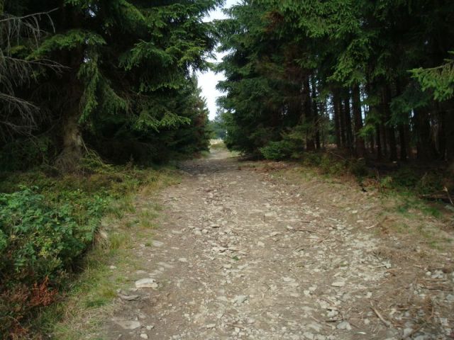 Zdjęcia: gdzies na szlaku, Tatry, spokoj, SłOWACJA Zdjęcia: gdzies na szlaku, Tatry, spokoj, SłOWACJA