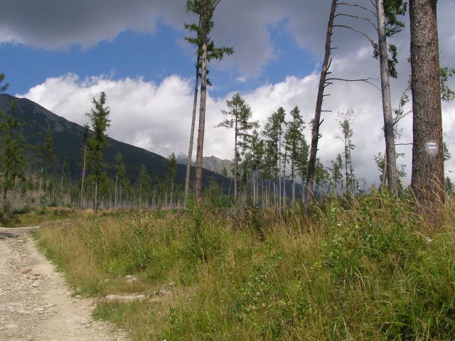 Zdjęcia: na szlaku, Stary Smokovec, widok na Tatry, SłOWACJA Zdjęcia: na szlaku, Stary Smokovec, widok na Tatry, SłOWACJA