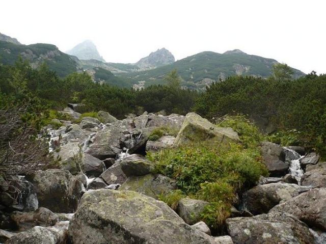 Zdjęcia: Potok w Dolinie Mięguszowieckiej (słow. Mengusowská Dolina), Tatry Wysokie, Tatry, SłOWACJA Zdjęcia: Potok w Dolinie Mięguszowieckiej (słow. Mengusowská Dolina), Tatry Wysokie, Tatry, SłOWACJA
