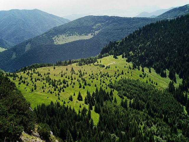 Zdjęcia: Terchova, Mała Fatra, pejzaż..., SłOWACJA Zdjęcia: Terchova, Mała Fatra, pejzaż..., SłOWACJA