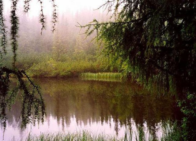Zdjęcia: w drodze na Krywań, Tatry Wysokie, Jamski Staw, SłOWACJA Zdjęcia: w drodze na Krywań, Tatry Wysokie, Jamski Staw, SłOWACJA